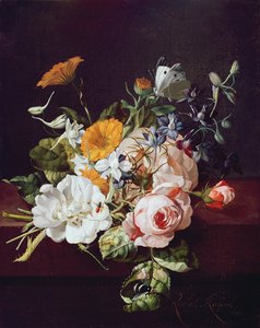 Vaso di fiori, 1695